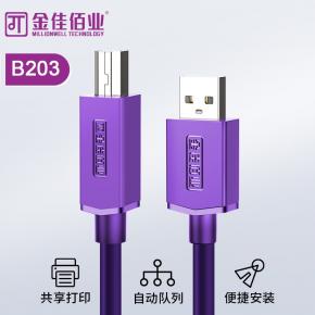 金佳佰業(yè) 貴族系列 AM/BM  打印線 B203